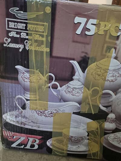 bright future fine bone China luxury collection dinner set