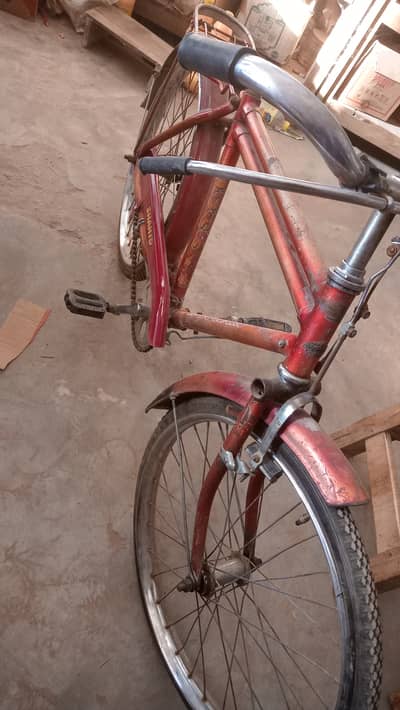 Bicycle for kids