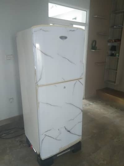 Hair large Fridge