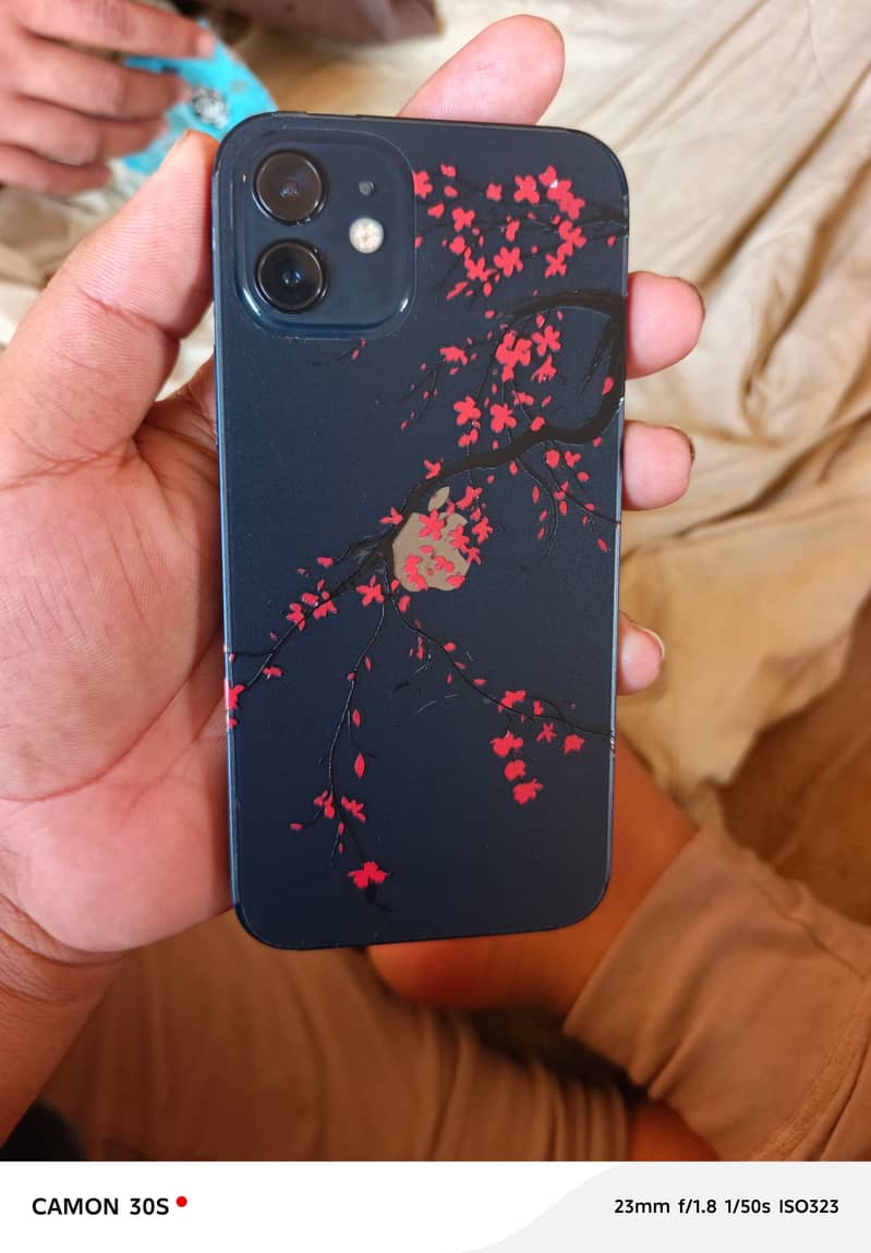 Apple iPhone 12 2