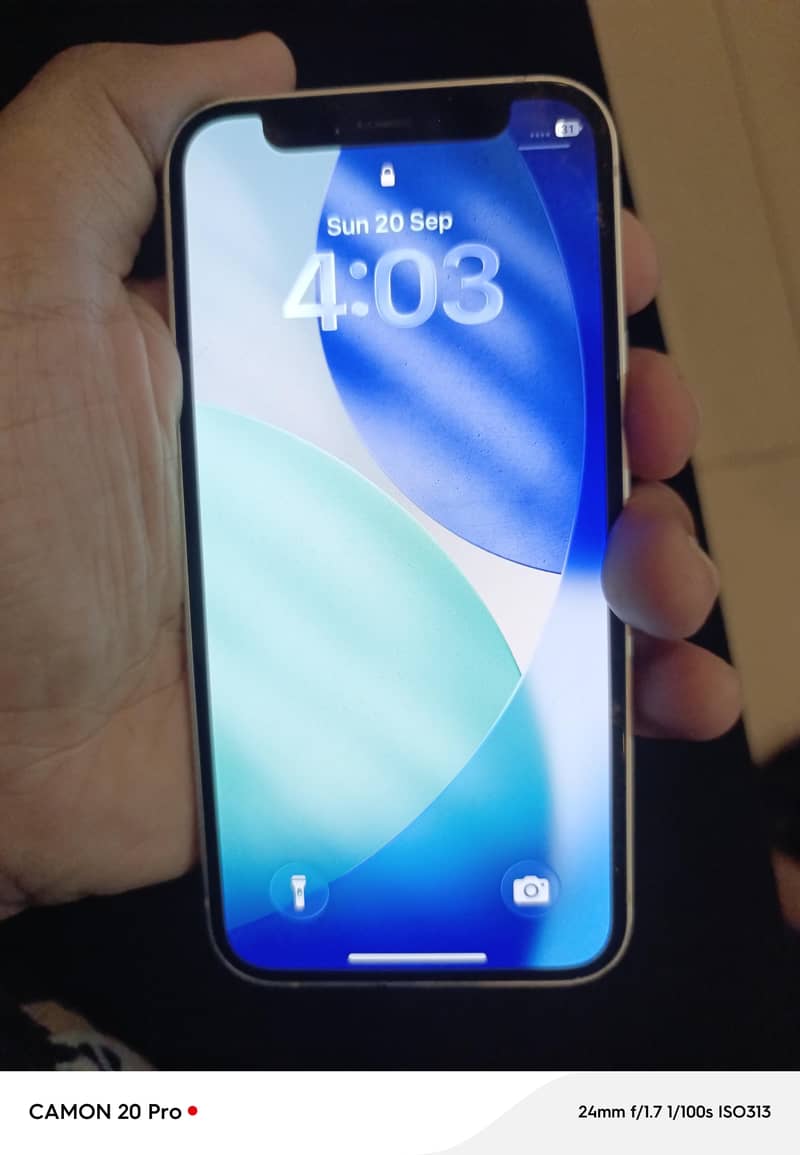 Apple iPhone 12 mini 1