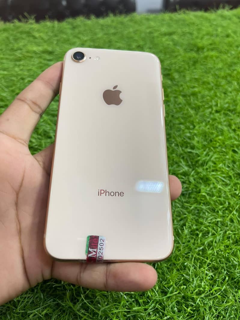 Apple iPhone 8 1
