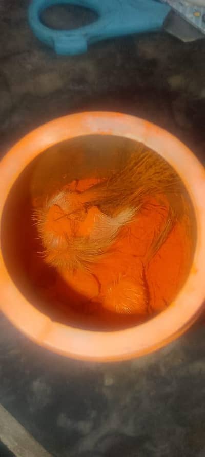 jora gider sangi for sale