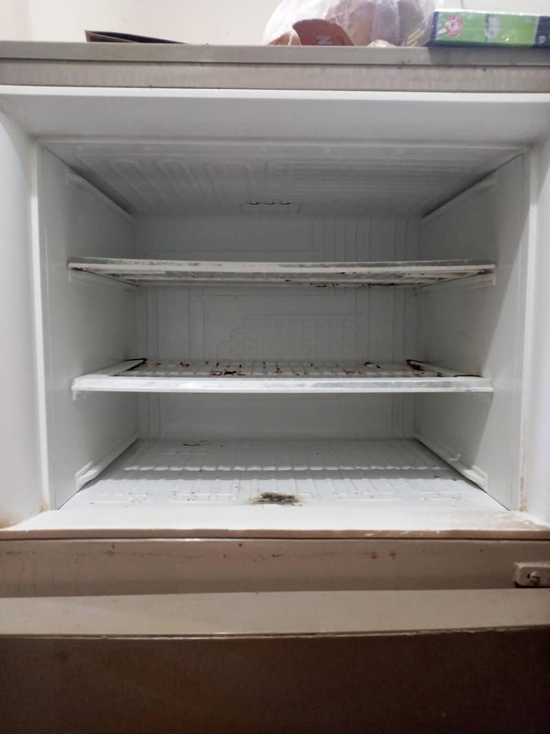 fridge 2