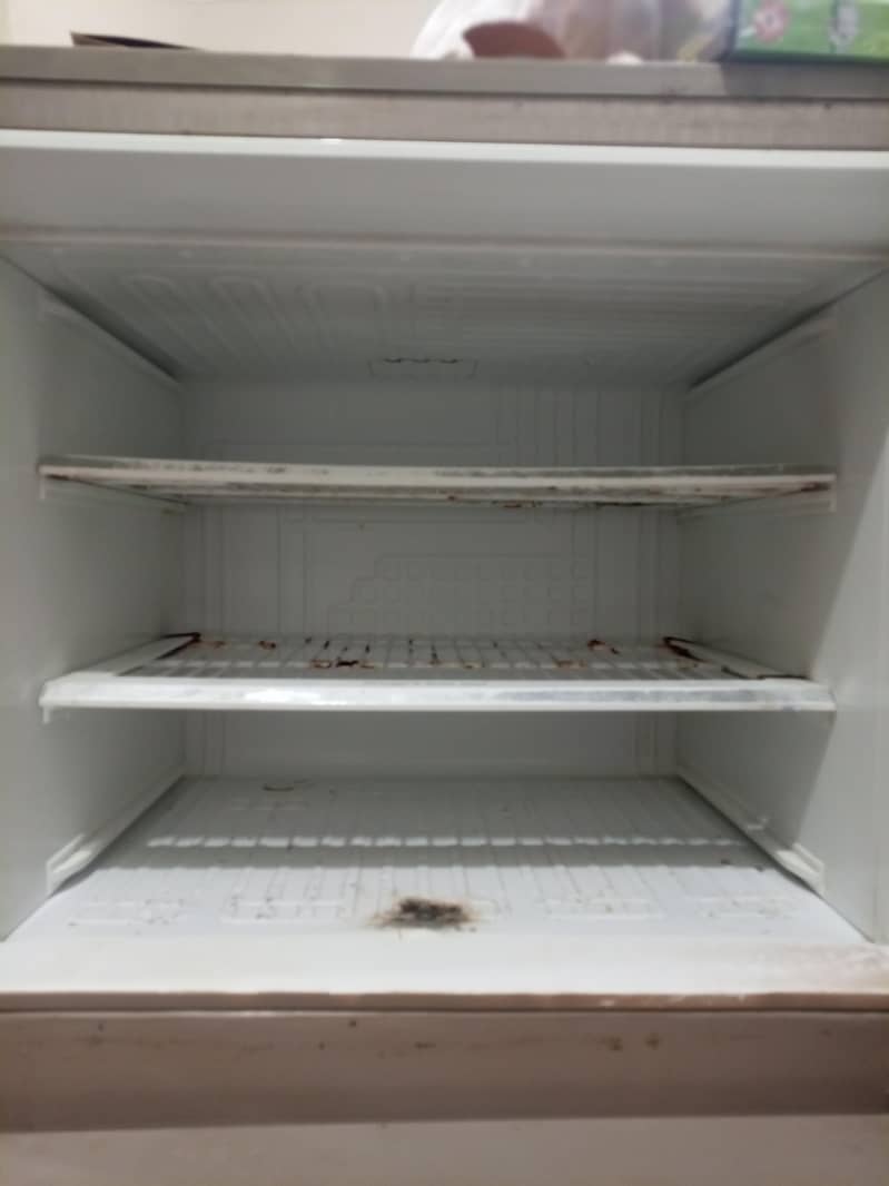 fridge 4