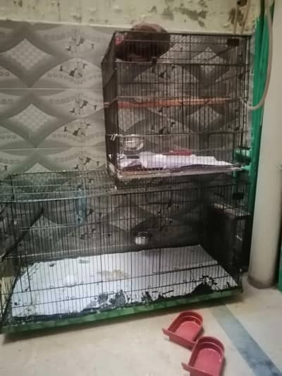 Double Size and Single Size qCages For Sale (Good Condition)