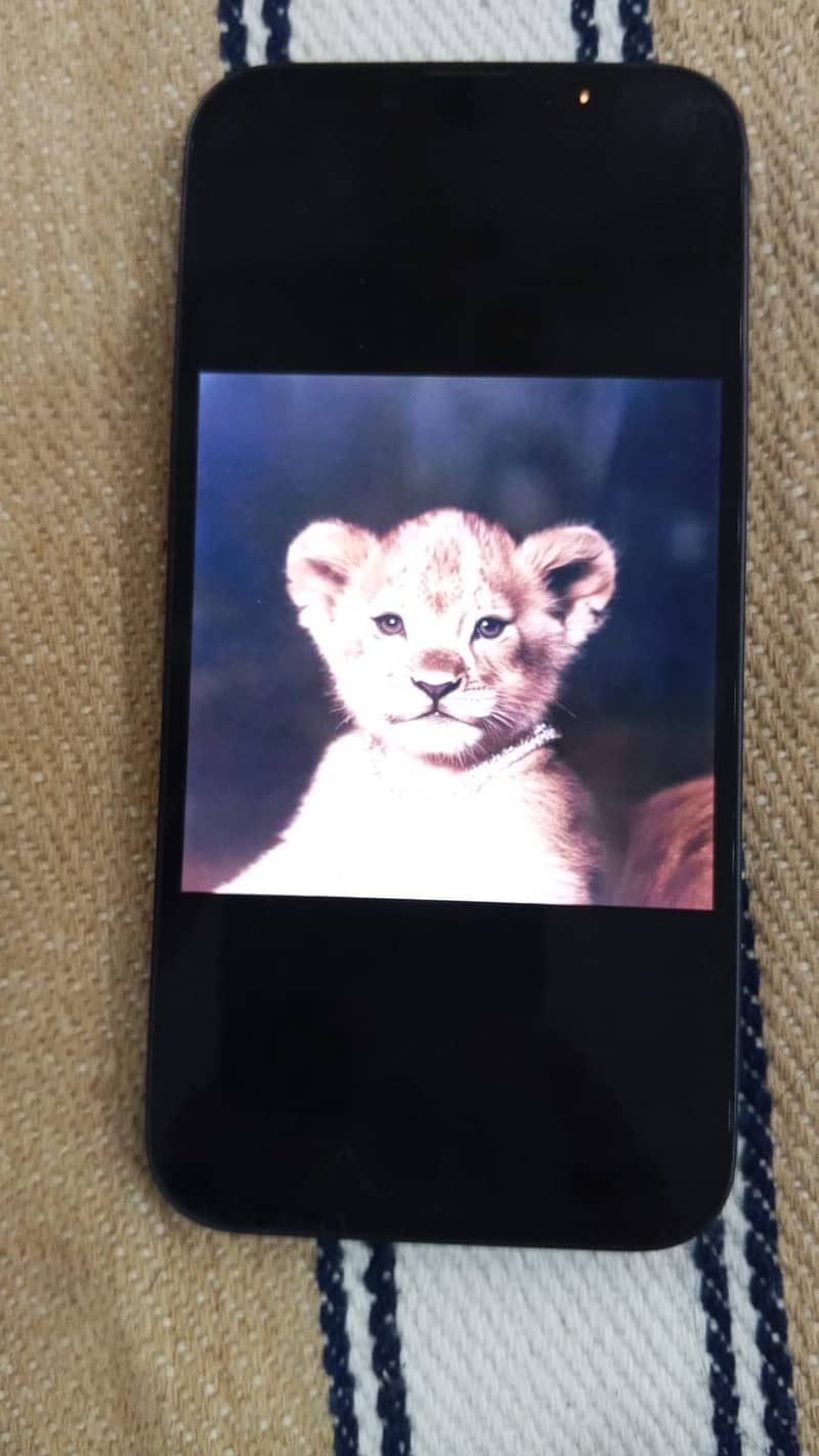 Apple iPhone 16e 1