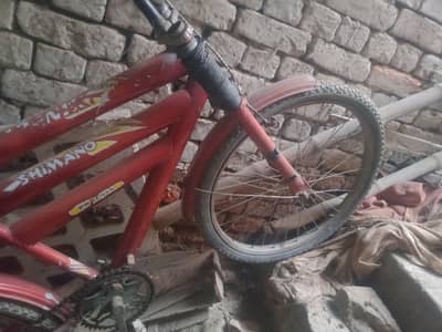 by cycle