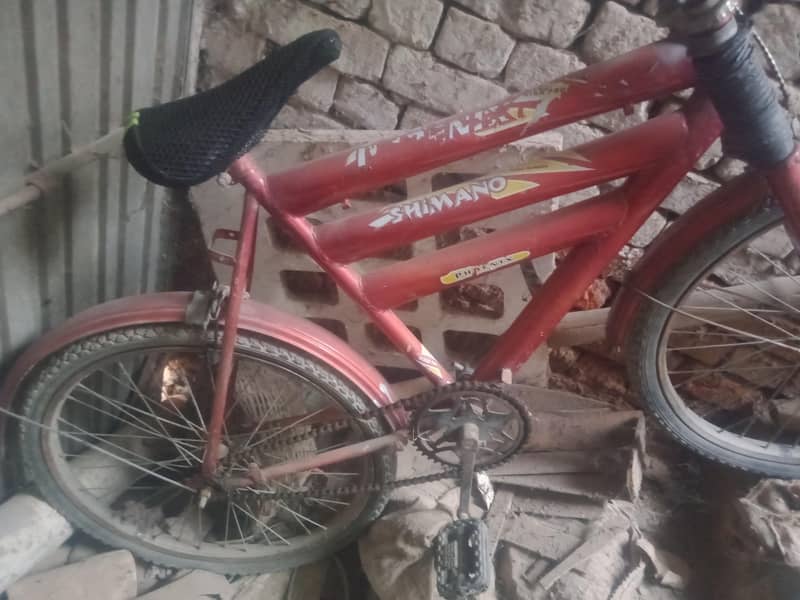 by cycle 4