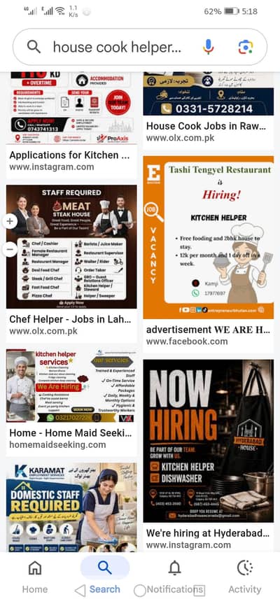 house cook helper