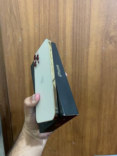 IPhone 12 Pro Max factory unlock