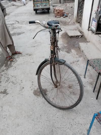 Bicycle phoenix japani