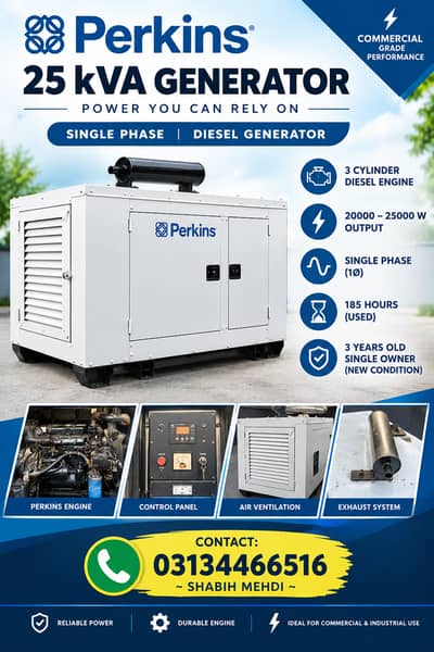 Perkins 25 KVA Commercial Generator / Single Phase (Only 185 Hours Use