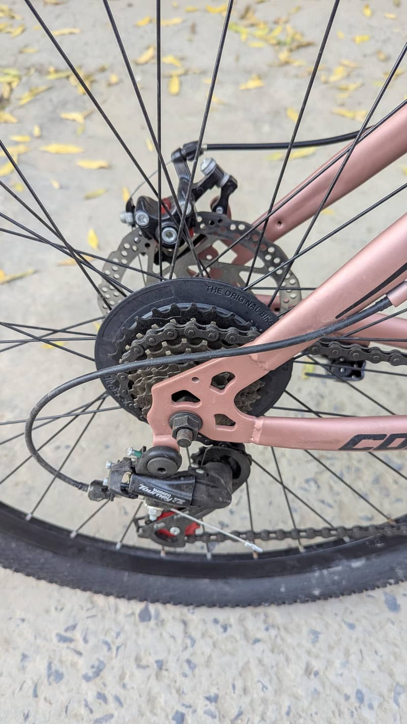 Mountain Bicycle 1