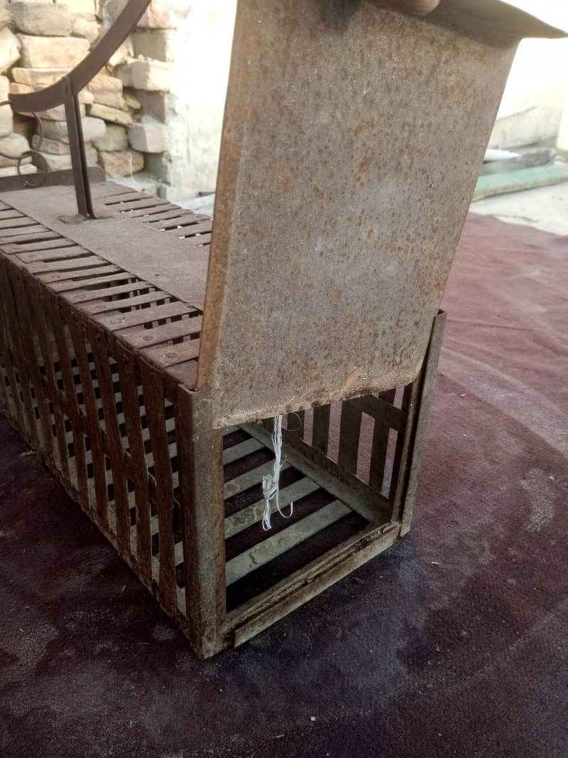cat cage 1