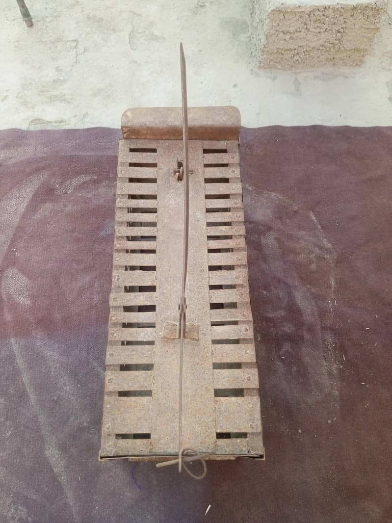 cat cage 2