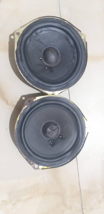 Original Japanese Speakers Pair Gari se Utra hai