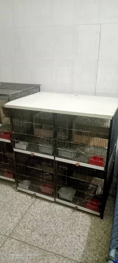 Iron Cage for Sale breeding box bhi available hn each box 250