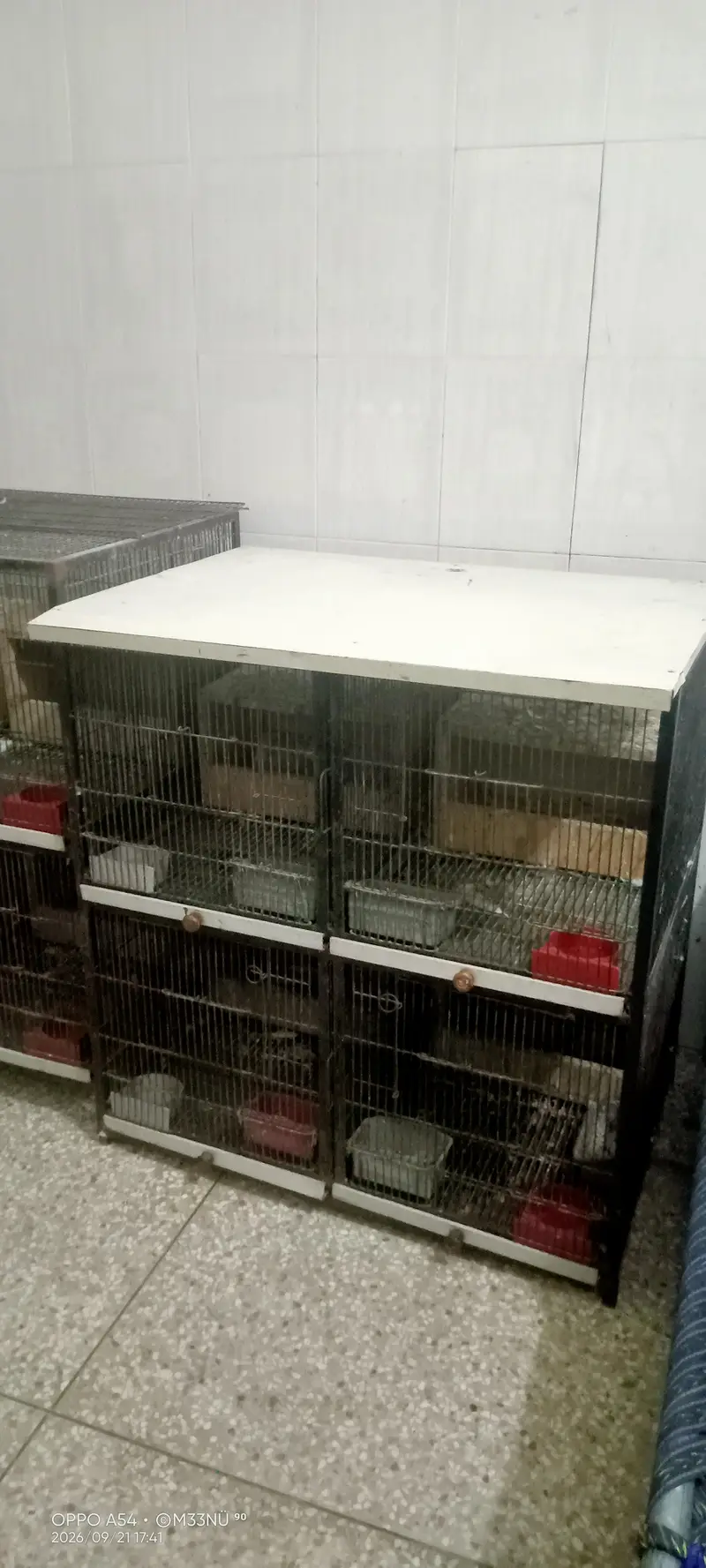 Iron Cage for Sale breeding box bhi available hn each box 250
