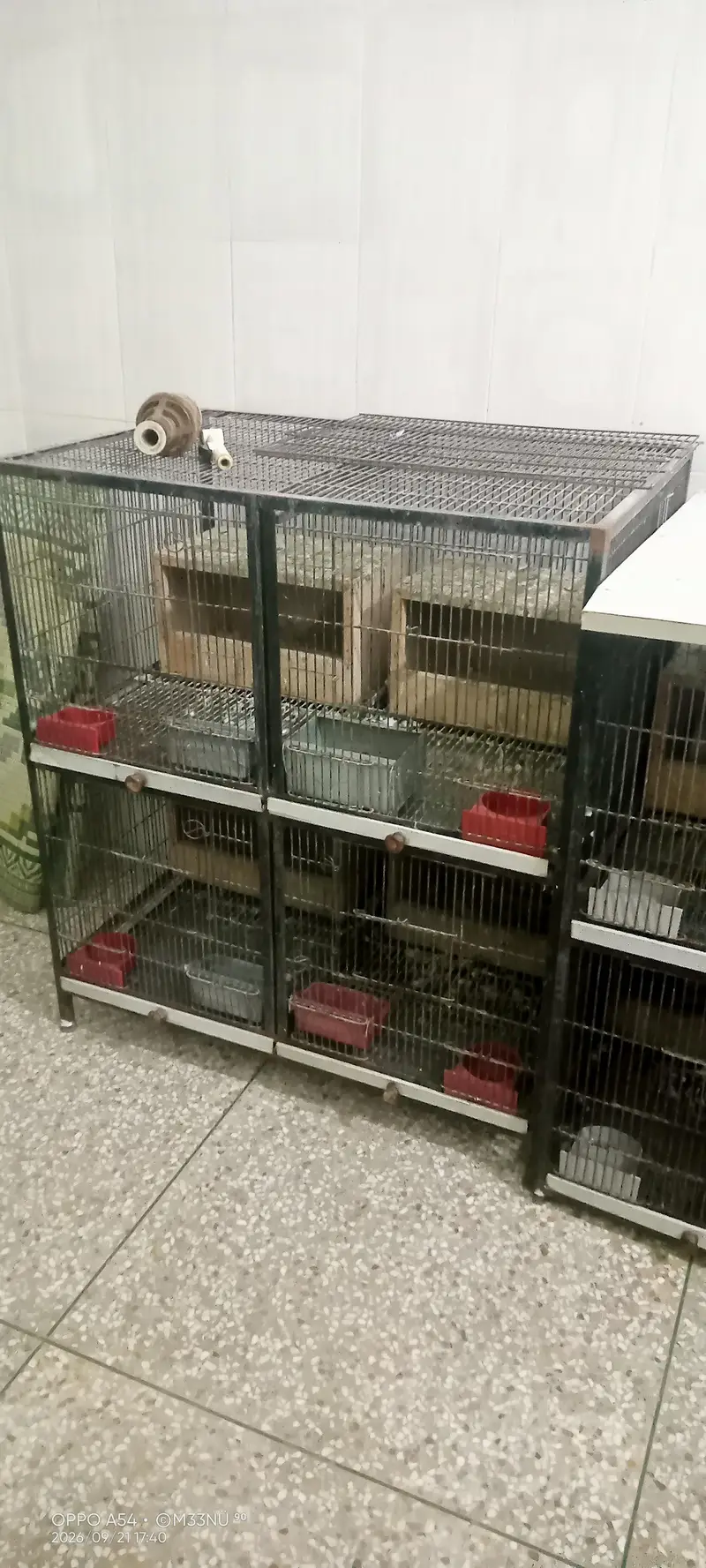 Iron Cage for Sale breeding box bhi available hn each box 250 — photo 2