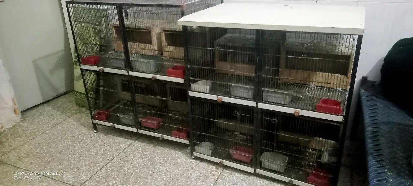 Iron Cage for Sale breeding box bhi available hn each box 250 — photo 3