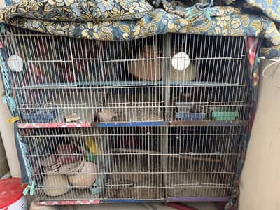 5 portion cage for sell for birds