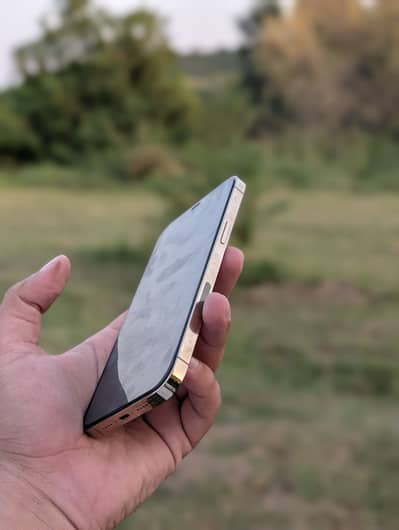 Apple iPhone 12 Pro Max