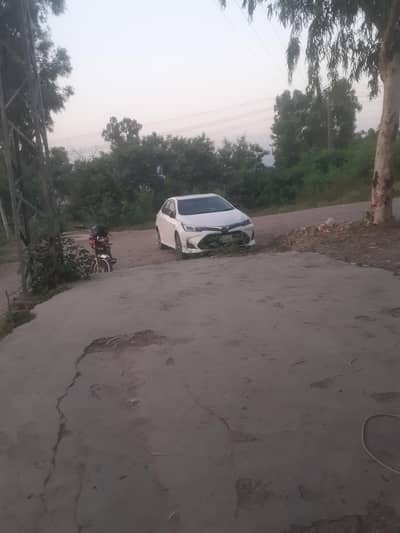 Malik asim