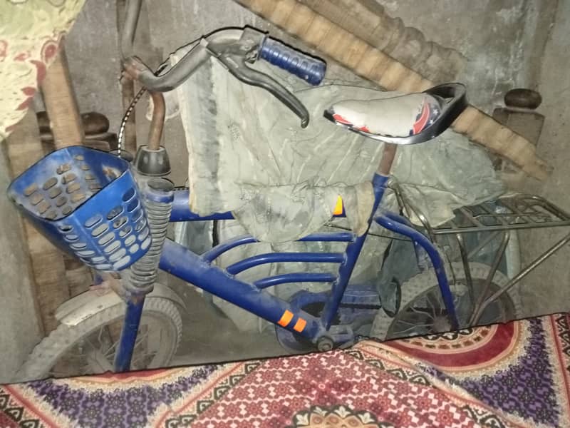 A big cycle 0