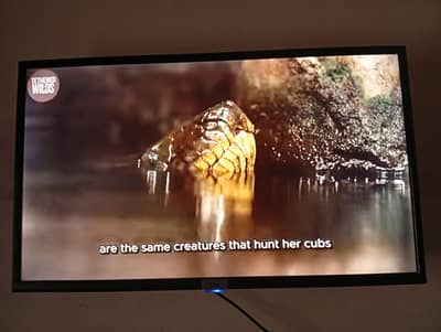 TCL Android LED32inch