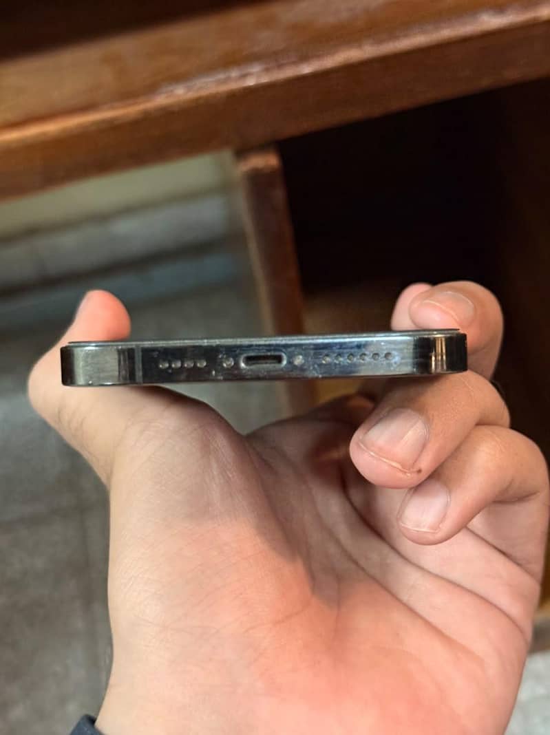 Apple iPhone 13 Pro Max 1