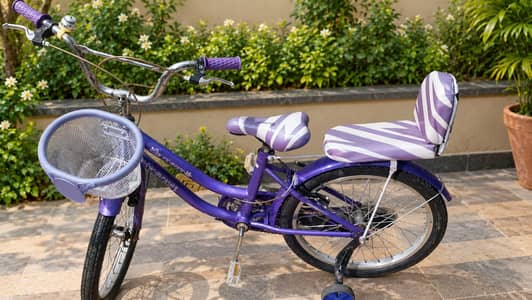 bicycle in good condition