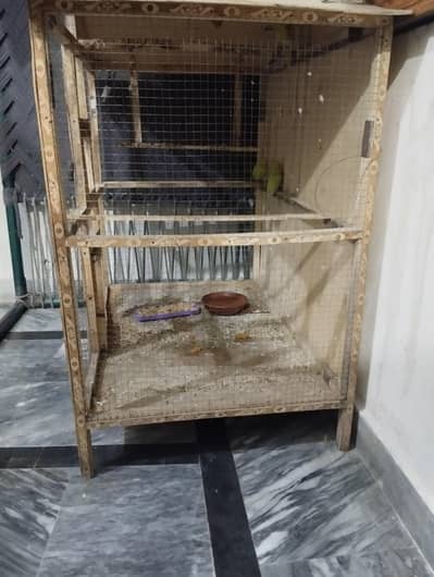 3 Australian Parrots + Wooden Cage for Sale