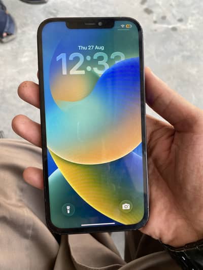 Iphone 12 PorMax