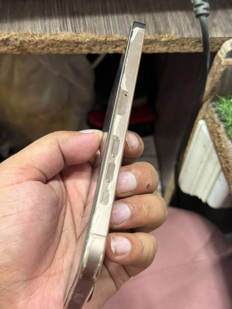 Apple iPhone 16 Pro Max 3