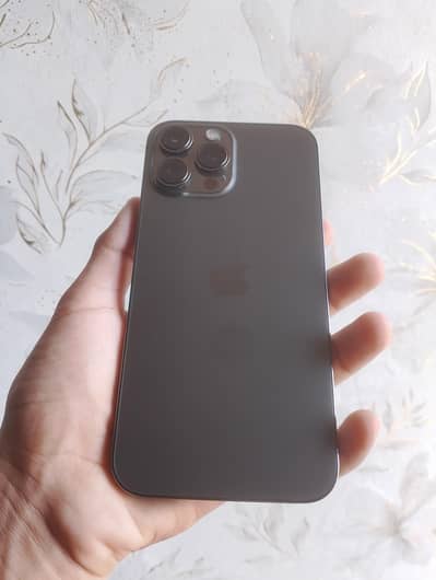 Apple iPhone 13 Pro Max