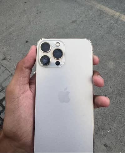 Apple iPhone 13 Pro Max