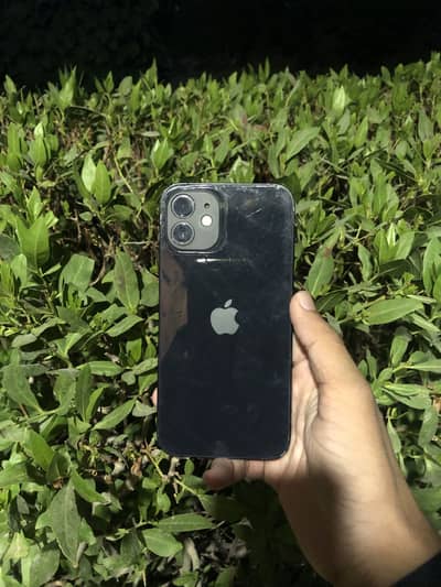 Apple iPhone 12