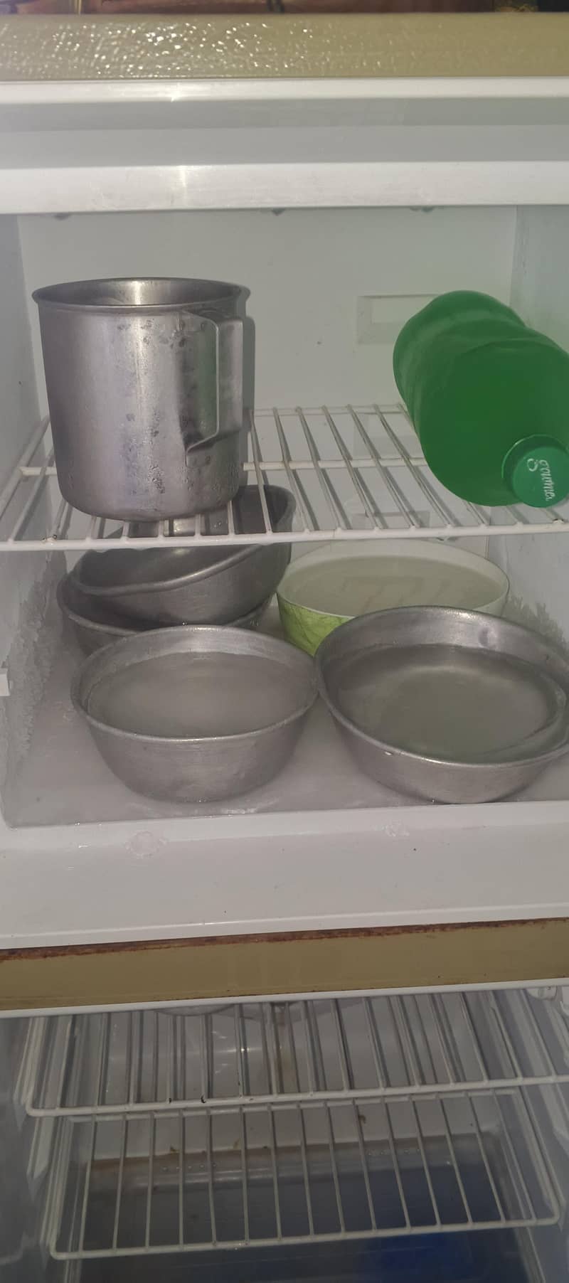 freezer 3