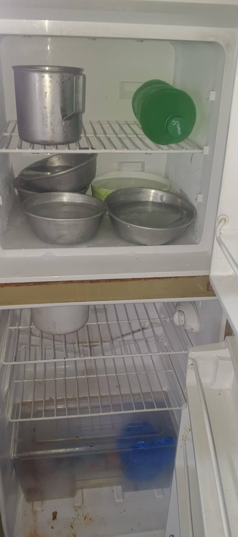 freezer 4