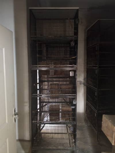 BIRDS CAGE