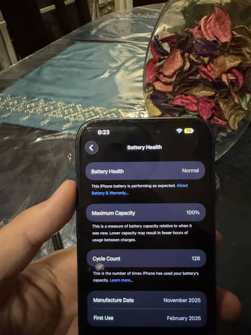 Apple iPhone 17 Pro Max 3