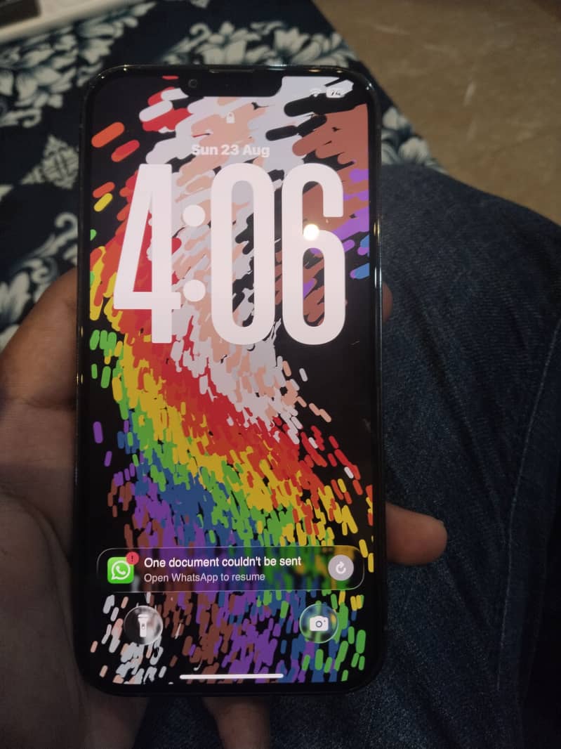 Apple iPhone 13 Pro Max factory unlock 3
