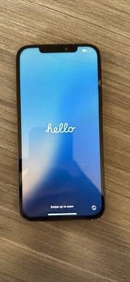 Apple iPhone 12 Pro Max