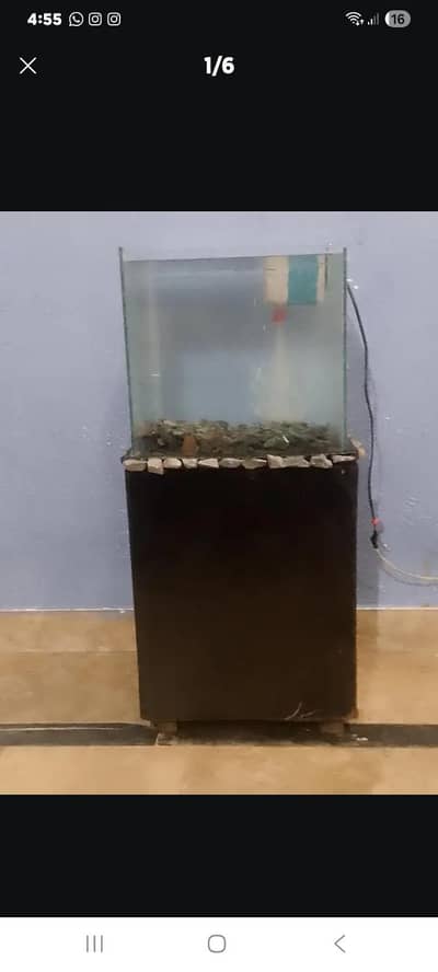 aquarium with table