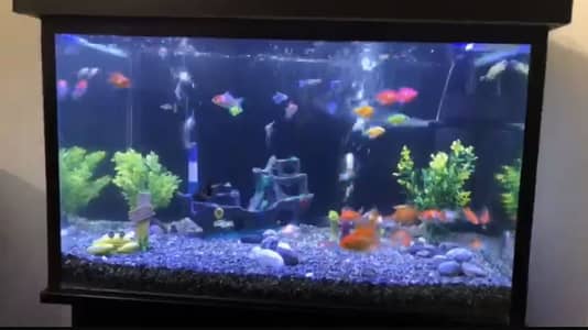 Fish aquarium black colour 10/9 condition