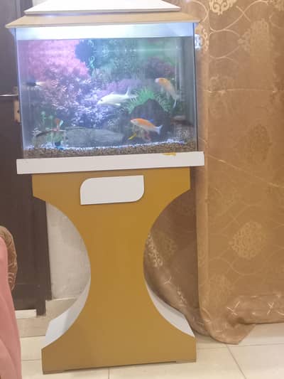 Fish aquarium tank with fishes available in sale