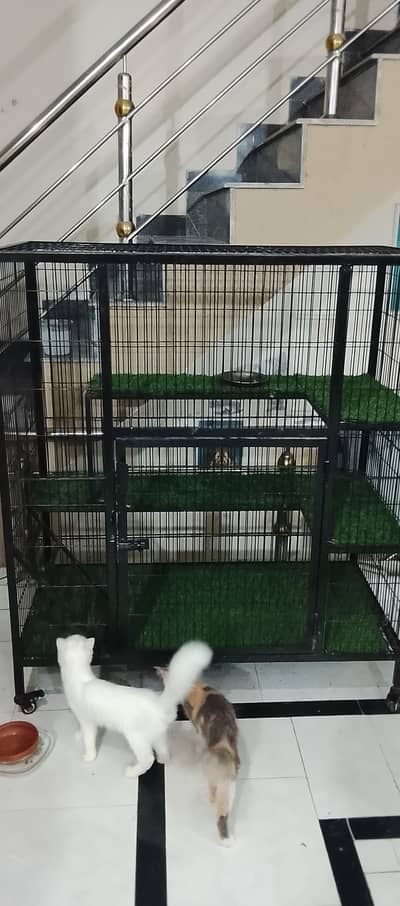 Cast full size cage  new cage