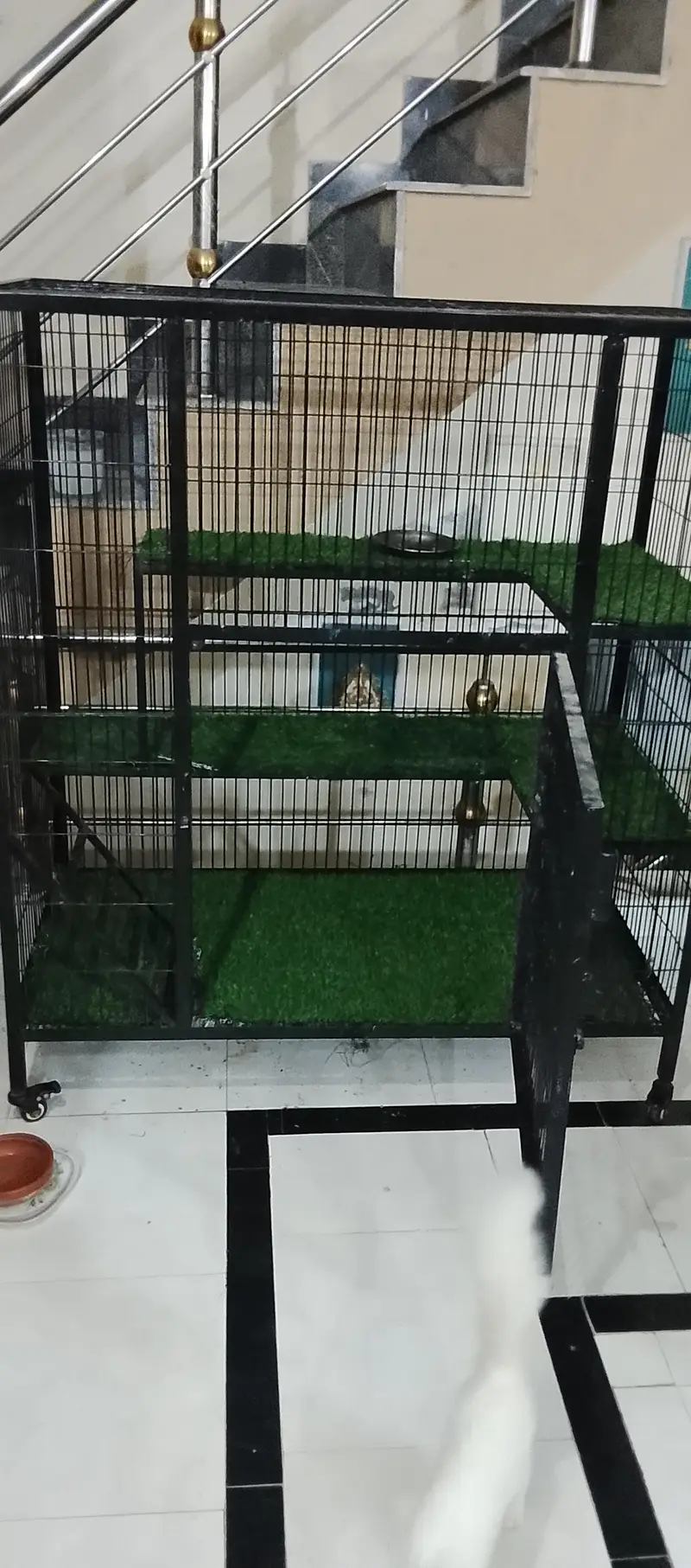 Cast full size cage  new cage — photo 2