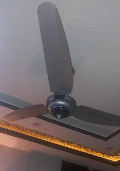 Ceiling fan for sale